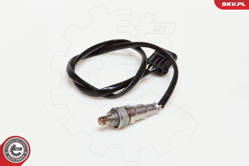 Oxygen Sensor